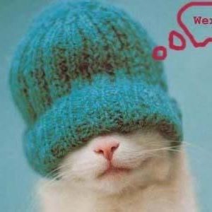 Meet your Posher, Tere